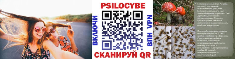 Псилоцибиновые грибы Cubensis  Беслан 